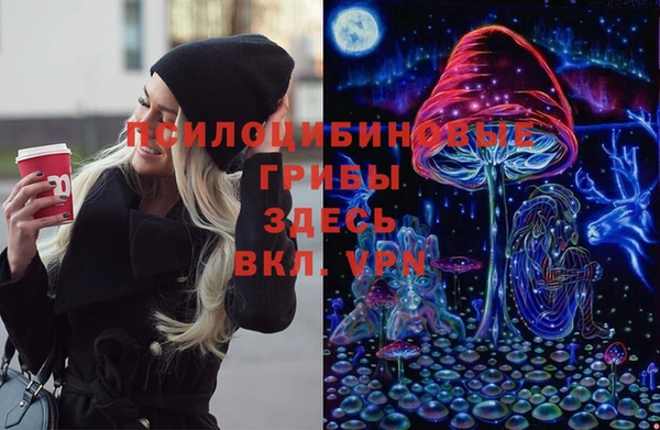 первитин Алексеевка