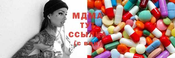 индика Алексин