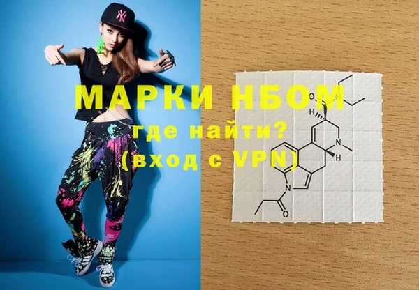 индика Алексин
