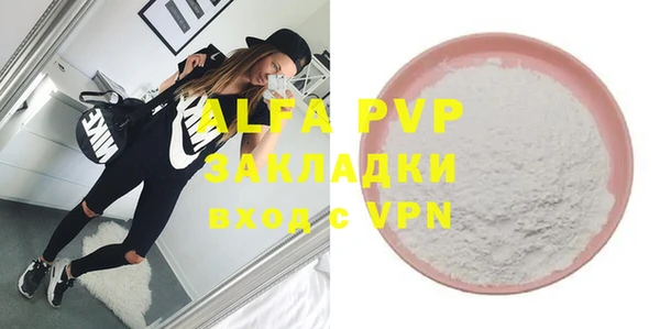 индика Алексин