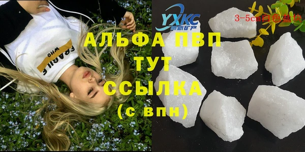 прущие грибы Алзамай