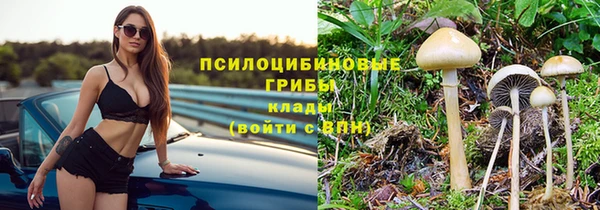 прущие грибы Алзамай