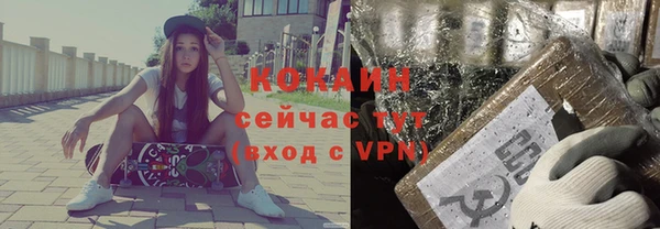 индика Алексин