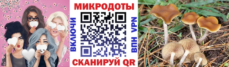 купить  цена  Ейск  Галлюциногенные грибы мухоморы 
